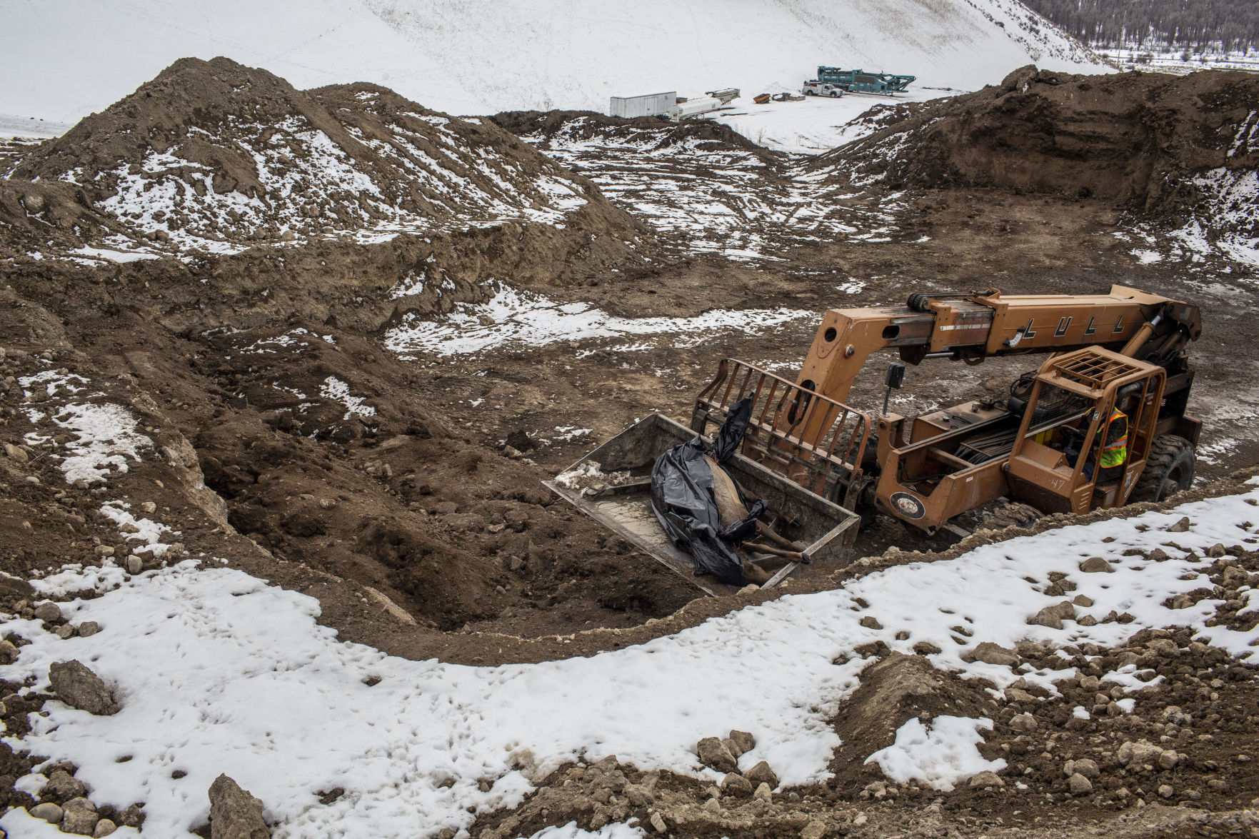 CWD reaches Jackson Hole